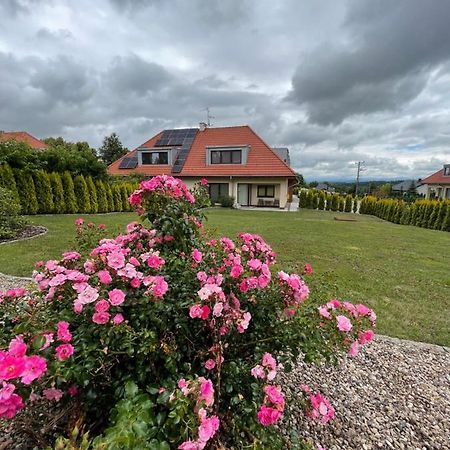 Sloneczne Apartamenty Polanica-Zdrój Exteriér fotografie