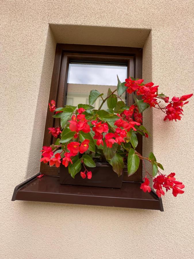 Sloneczne Apartamenty Polanica-Zdrój Exteriér fotografie