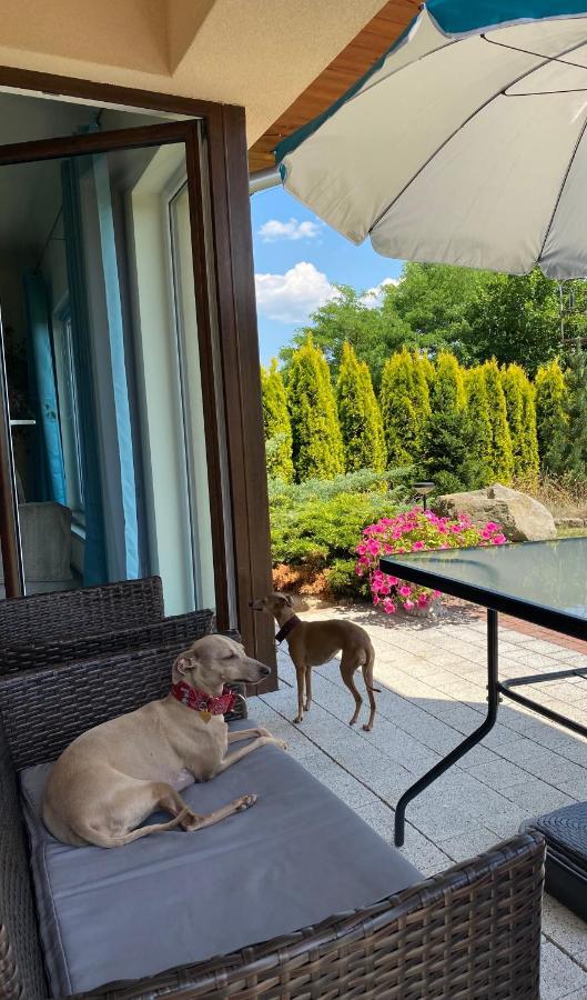 Sloneczne Apartamenty Polanica-Zdrój Exteriér fotografie